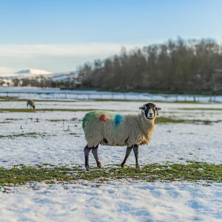 Butlers 度假居 Hardraw